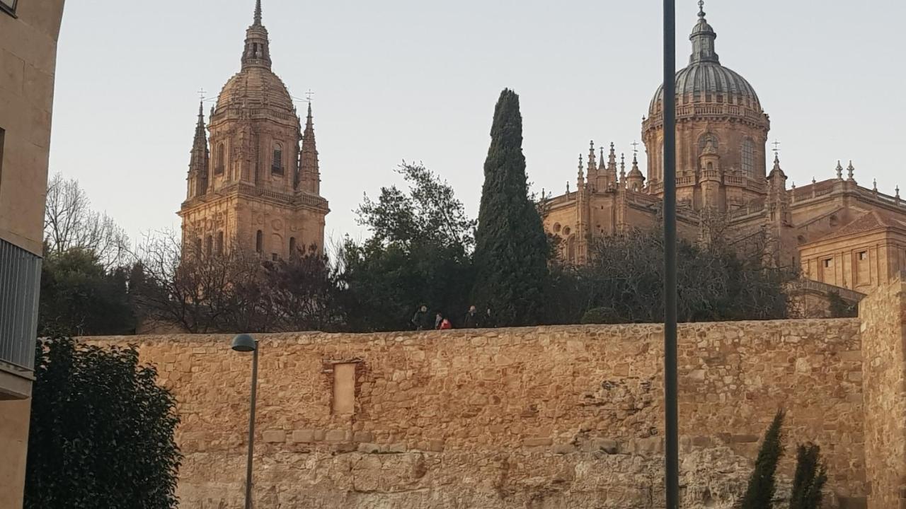 Loft Estudio Catedral Casa Lis Leilighet Salamanca Eksteriør bilde